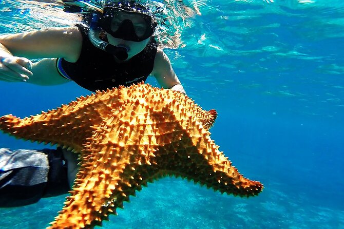 Cancun Jungle Tour with Speedboat and Snorkeling - The schedule is compact, so timing hiccups matter