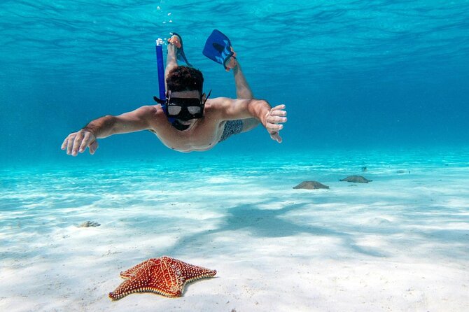 Cancun Jungle Tour with Speedboat and Snorkeling - Who should book this Nichupté and Reef combo?