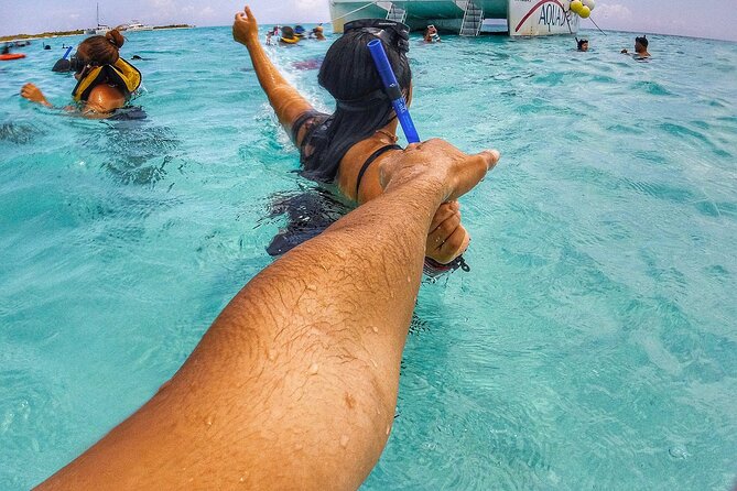 Cancun Jungle Tour with Speedboat and Snorkeling - Should you book this Cancun Jungle Tour with Speedboat and Snorkeling?
