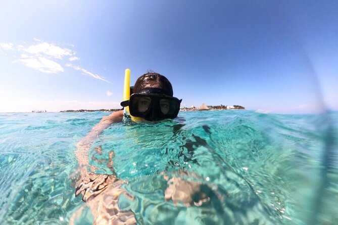 Cancun Jungle Tour with Speedboat and Snorkeling - Snorkeling on the Cancun Reef: short time, clear payoff