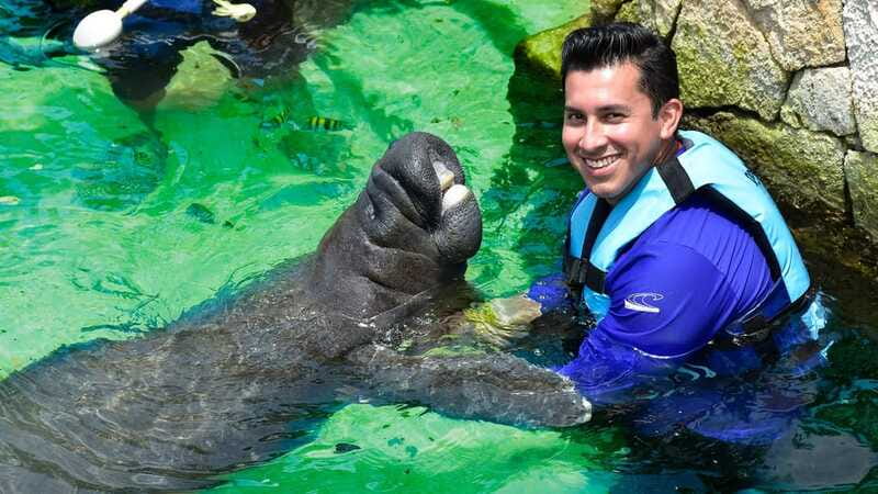 Cancún: Manatee Encounter on Isla Mujeres with Buffet Lunch - Who this manatee program fits best (and who should skip it)