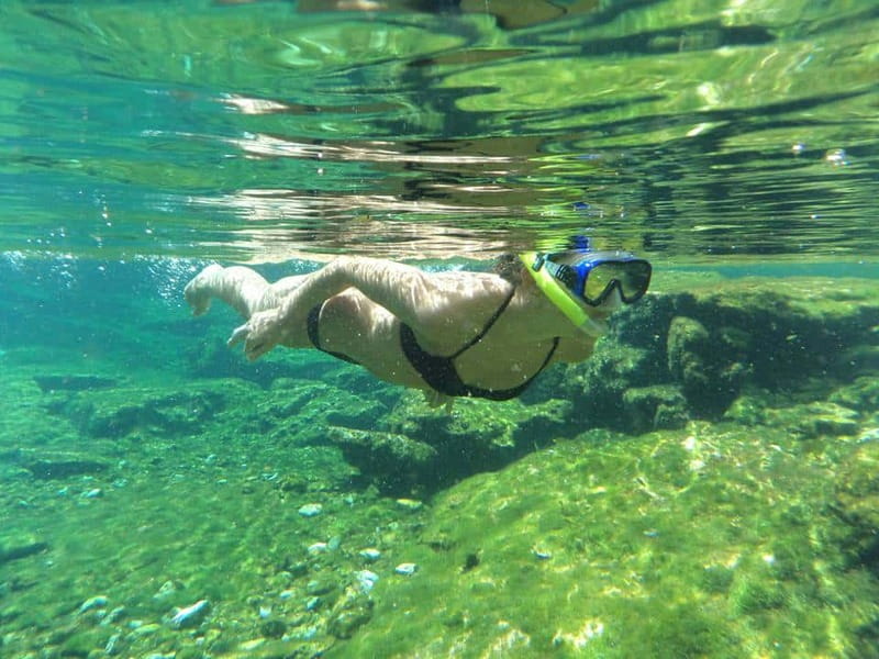 Cancun: Marine Turtle Observation in Akumal - Who this tour suits best (and who should skip it)