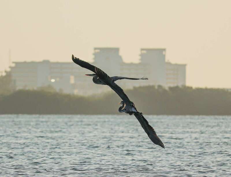 Cancun: Morning Kayak Adventure - Who This Sunrise Kayak Trip Is Best For