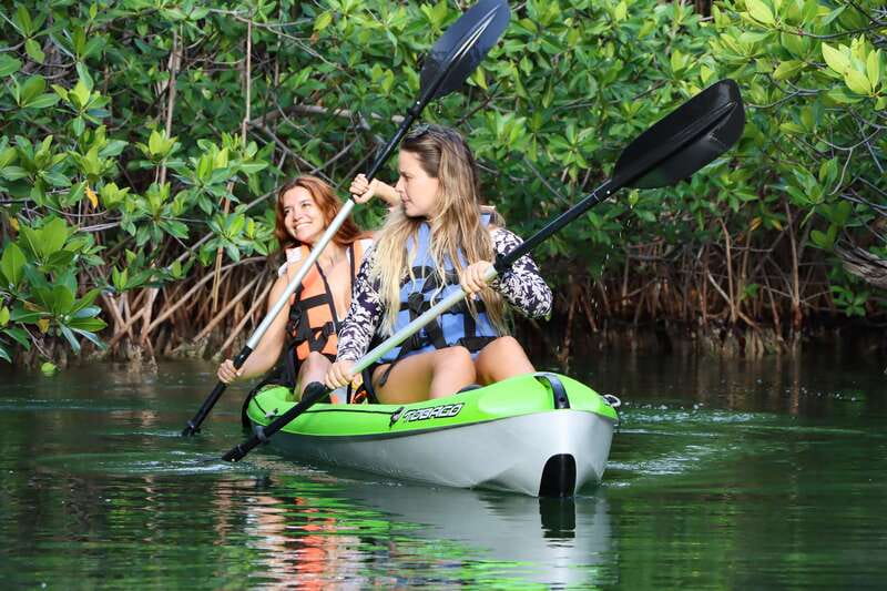 Cancun: Morning Kayak Adventure - Nichupté Lagoon Paddle #1: Mangroves, Birds, and Calm Water