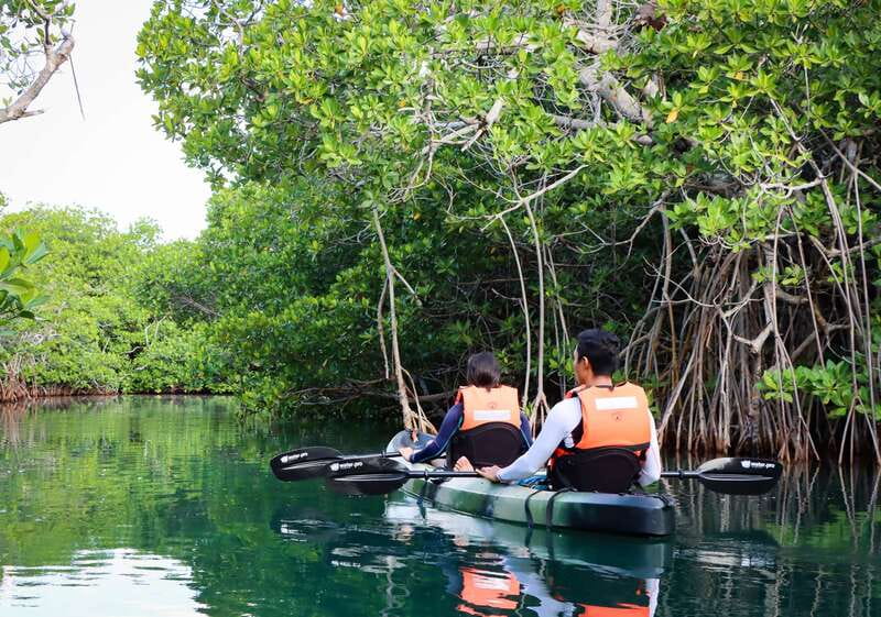 Cancun: Morning Kayak Adventure - Nichupté Lagoon Paddle #2: More Channels, More Chances