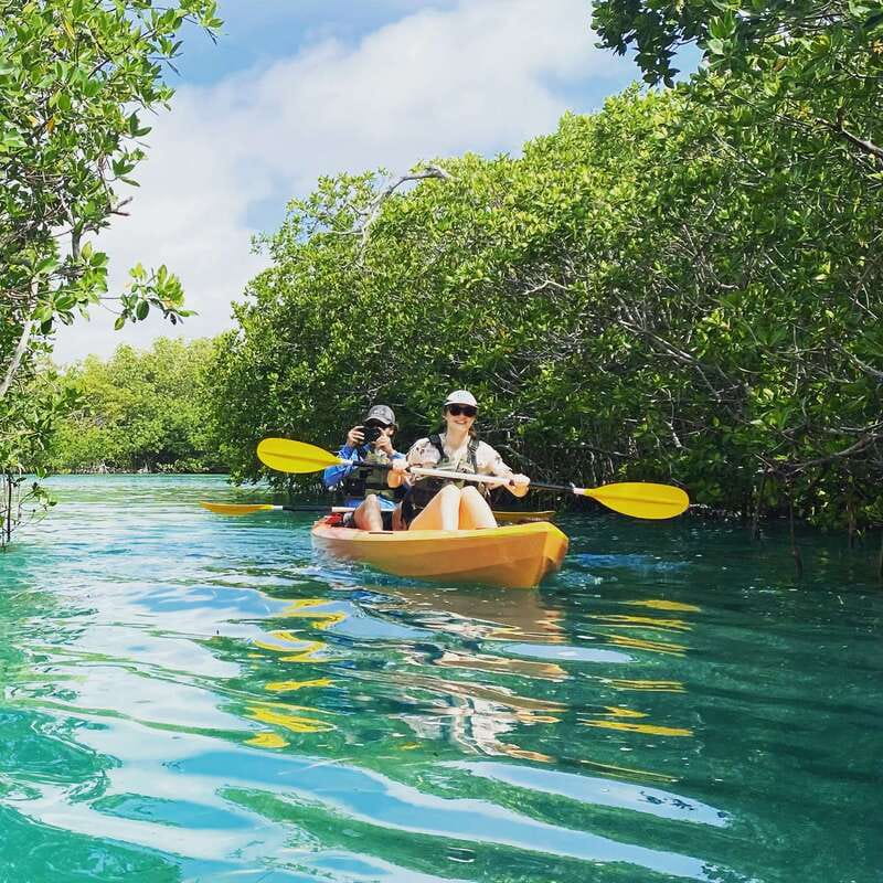 Cancún: Morning or Sunset Kayak Adventure in Nichupte Lagoon - Sunset vs Morning: Choosing the Right Light (and the Right Mood)