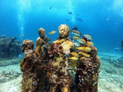 Cancun: Musa Underwater Museum & Reef Discover Scuba Diving - The 5-hour schedule at Aquafun Marina (and what each block means)