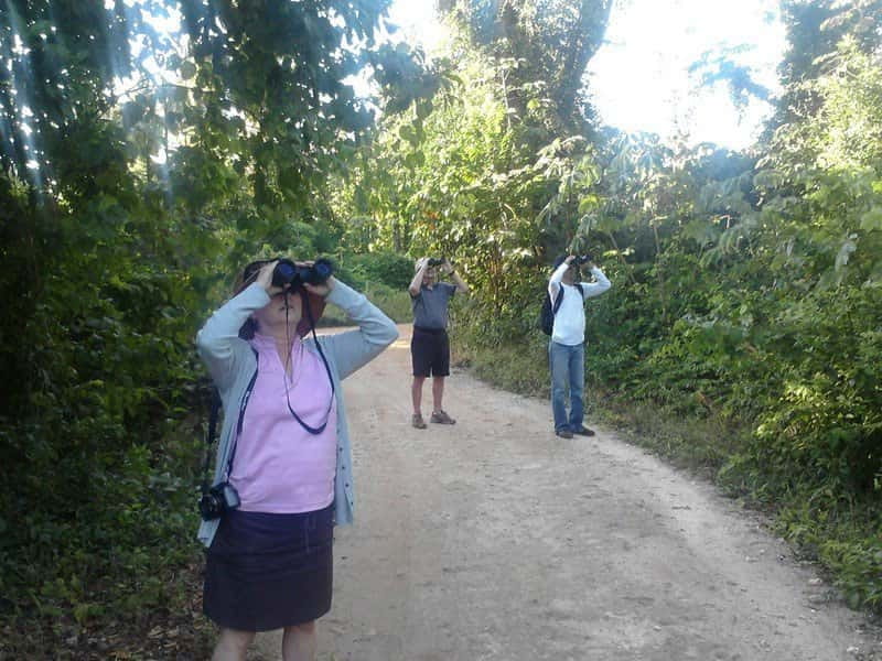 Cancun: Private Birdwatching Tour - The Guide Factor: Carlos, Bird-Call Techniques, and Quick Sightings