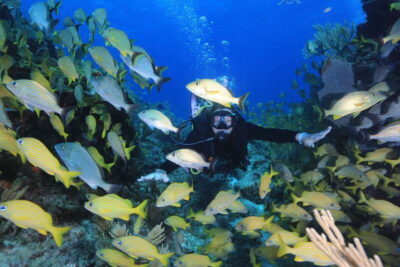 Cancun: Scuba Diving for Certified Divers, 3 options to dive - Option 1: MUSA Underwater Museum + Manchones Reef (Shallow, Art Meets Reef)