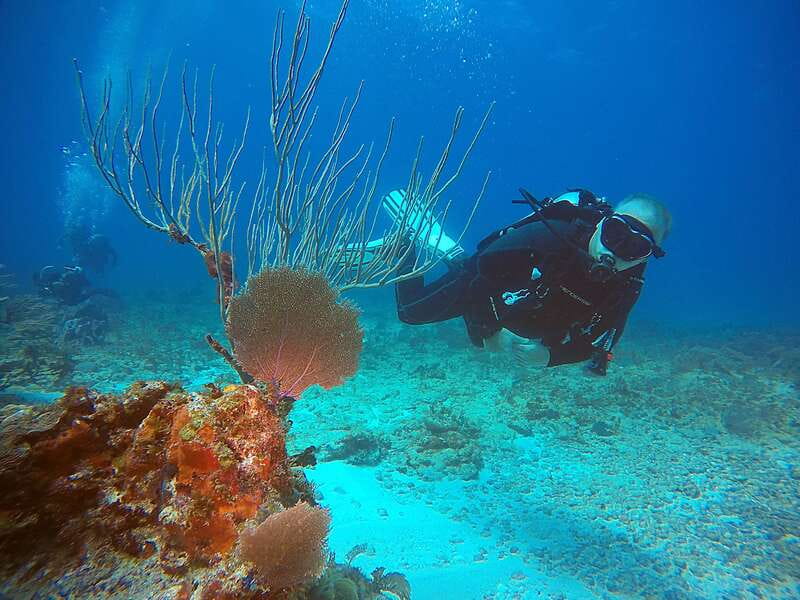 Cancun: Scuba Diving for Certified Divers, 3 options to dive - Gear, Crew, and Safety: What’s Actually Included