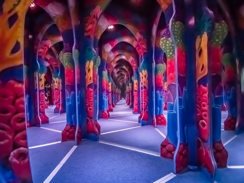 Cancún: Sky Wheel Pass GO - Mirror Maze: the interactive visual adventure that eats time (in a good way)