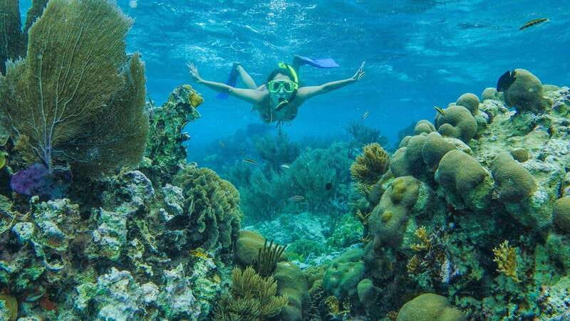 Cancun: Snorkel in MUSA Undewater Museum and Reef - Meeting point and first logistics: where to go and what to bring