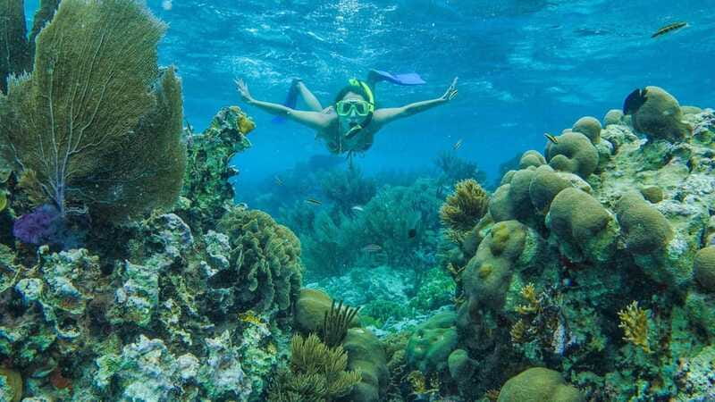 Cancun: Snorkel in MUSA Undewater Museum and Reef - Gear and guide setup: what you’re paying for beyond the water