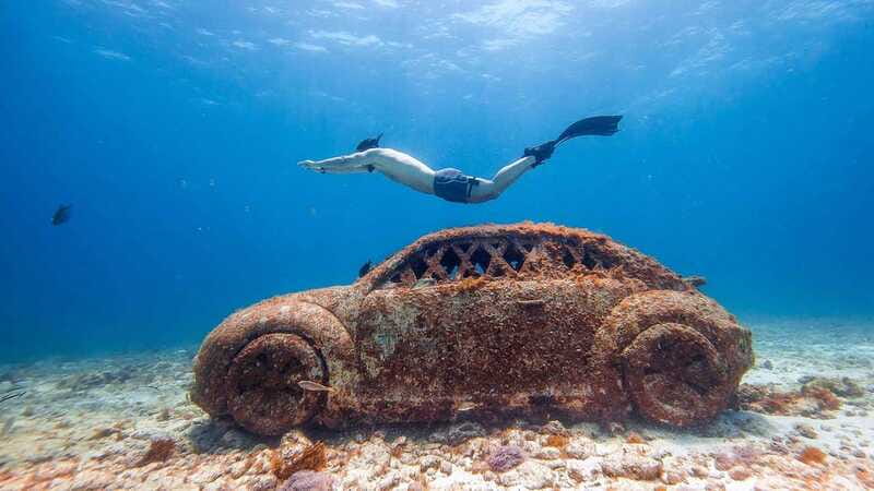 Cancun: Snorkel in MUSA Undewater Museum and Reef - The reef portion: where the Caribbean marine life usually feels closer