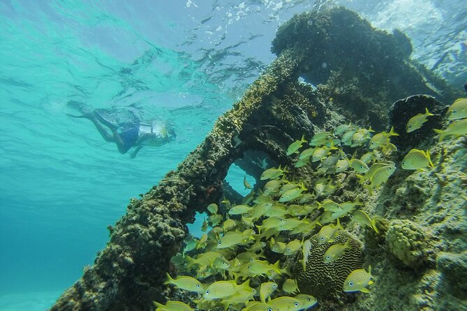 Cancun Snorkeling Adventure: Underwater Museum, Reef & Shipwreck - El Meco Reef Stop: Sea Turtles, Rays, and Clear Water Conditions