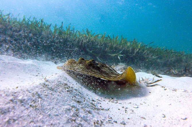 Cancun Snorkeling Adventure: Underwater Museum, Reef & Shipwreck - The Shipwreck Moment: Why This Stop Gets Called a Favorite