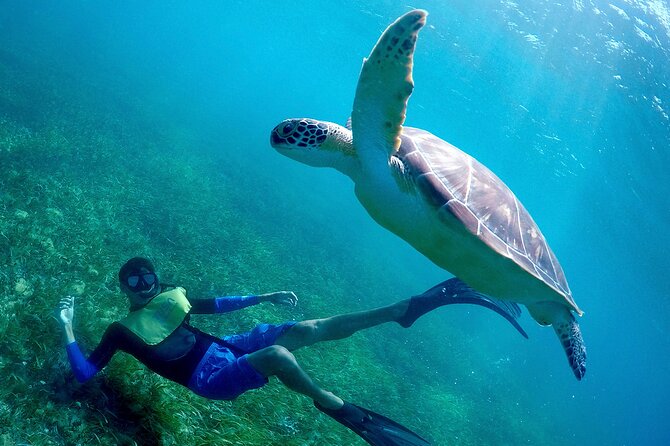 Cancun Snorkeling Adventure: Underwater Museum, Reef & Shipwreck - How the Team Keeps You Safe (and Helps If You Feel Off)