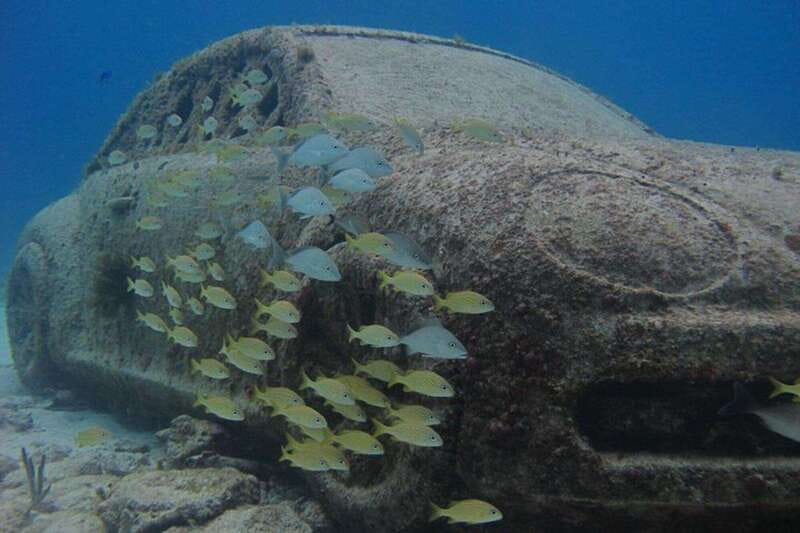 Cancun: Snorkeling at Underwater Museum & Manchones Reef - Who This Tour Fits Best