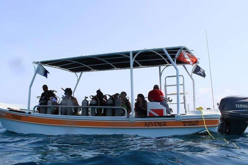 Cancun: Snorkeling at Underwater Museum & Manchones Reef - A 4-Hour Snorkel Route: MUSA, Then Manchones Reef