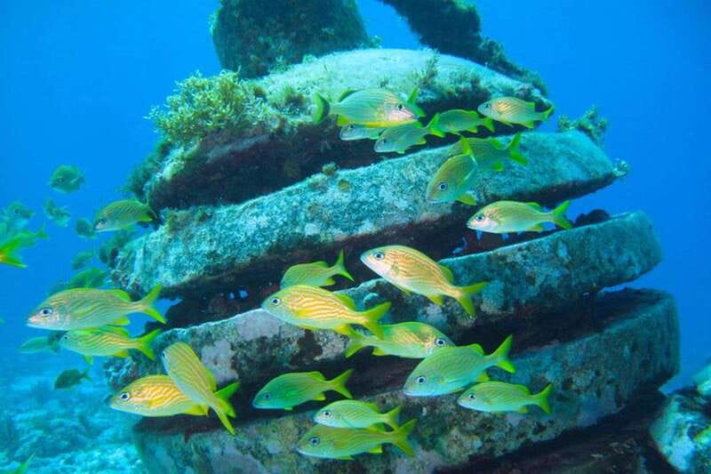 Cancun: Snorkeling at Underwater Museum & Manchones Reef - Manchones Reef: Coral, Fish, and a Second One-Hour Snorkel
