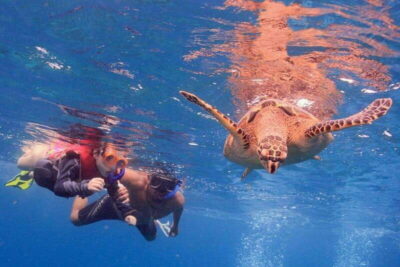 Cancun: Snorkeling at Underwater Museum & Manchones Reef - MUSA Underwater Museum of Art: Life-Size Sculptures at Snorkel Depth