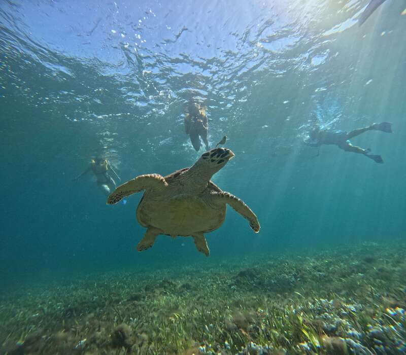 Cancun: Snorkeling Boat Tour with Gear - The 3-hour route that packs real underwater variety
