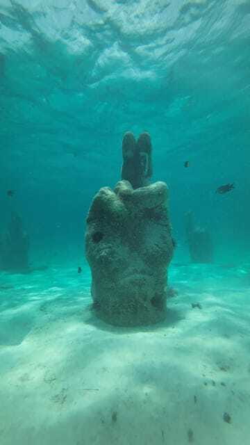Cancun: Snorkeling Boat Tour with Gear - Group size, comfort, and what to do if conditions aren’t ideal
