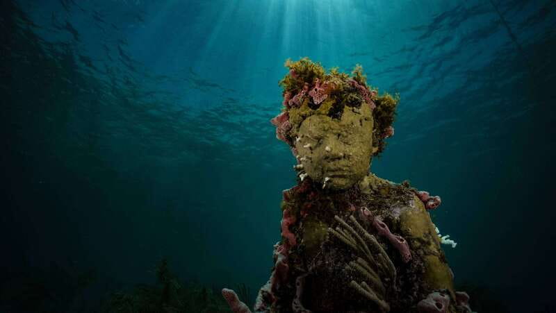 Cancun: Snorkeling Tour at MUSA The Underwater Museum - Key things to know before you go