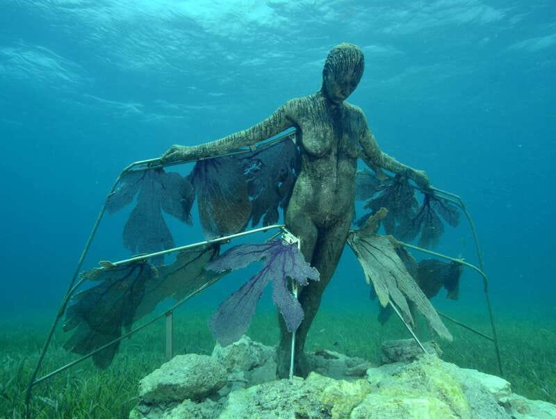 Cancun: Snorkeling Tour at MUSA The Underwater Museum - Should You Book? My Take on Value and Timing