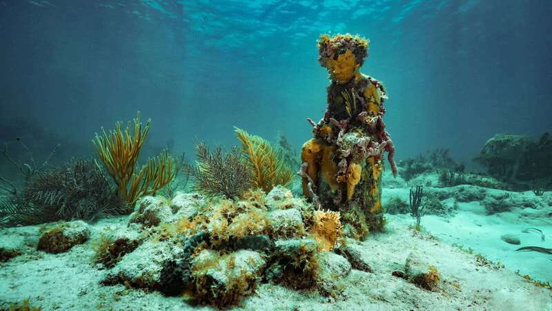 Cancun: Snorkeling Tour at MUSA The Underwater Museum - Snorkeling With 400+ Sculptures at MUSA (and Why It Works)