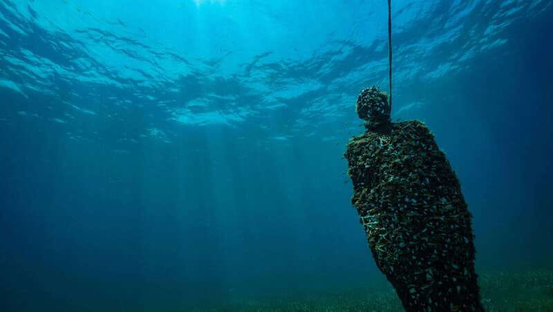 Cancun: Snorkeling Tour at MUSA The Underwater Museum - Who Should Book This MUSA Snorkeling Tour