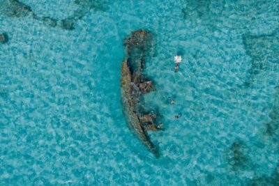 Cancun Snorkeling Tour: Swim with Turtles, Reef, Underwater Museum and Shipwreck - Marina Punta Norte and the Real Meaning of the 4-Hour Window