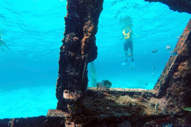 Cancun Snorkeling Tour: Swim with Turtles, Reef, Underwater Museum and Shipwreck - Gear, Weights, and Safety Checks That Actually Matter