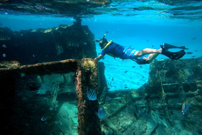Cancun Snorkeling Tour: Swim with Turtles, Reef, Underwater Museum and Shipwreck - What You’ll See Underwater (and What Changes With Conditions)
