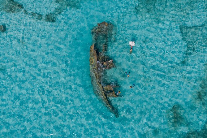Cancun Snorkeling Tour: Swim with Turtles, Reef, Underwater Museum and Shipwreck - Marina Punta Norte and the Real Meaning of the 4-Hour Window