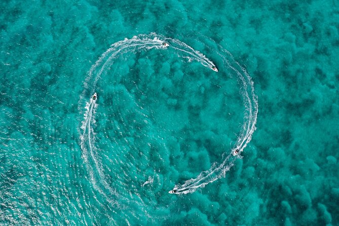 Cancun: Speedboat tour to a Virgin Beach - Three Hours That Mix Wildlife Crusing and Virgin Beach Time