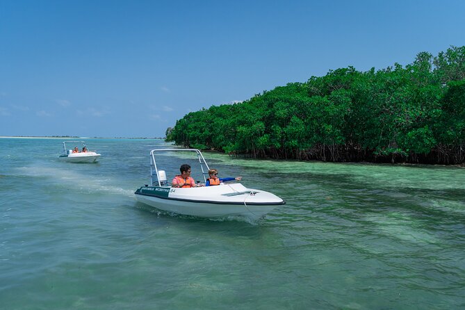 Cancun: Speedboat tour to a Virgin Beach - Group Size, Comfort, and the Best Fit for This Tour