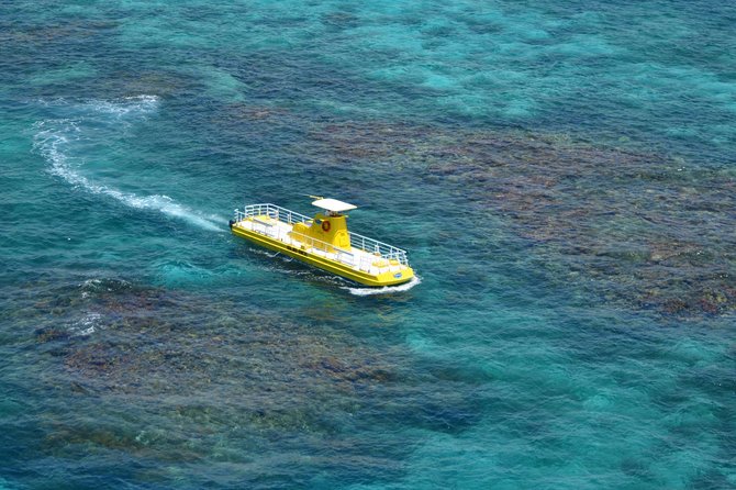 Cancun Submarine and Optional Snorkeling Tour - Reef Time at Punta Nizuc: What You’ll Actually See