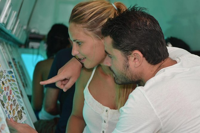 Cancun Submarine and Optional Snorkeling Tour - Price and Extra Fees: How to Judge Value in the Real World