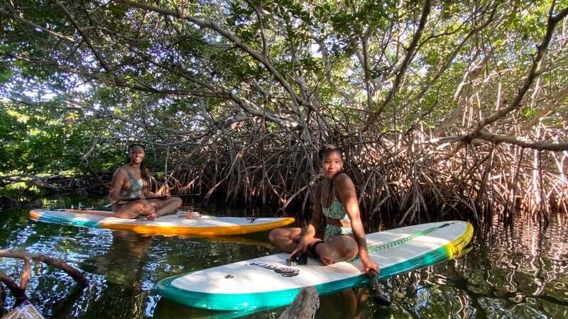 Cancun: Sunrise/Sunset Stand-Up Paddleboarding Tour - Physical Effort: Beginner-Friendly, Not Effort-Free