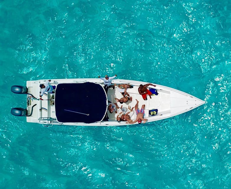 Cancún: Swim with Whale Sharks & Playa Norte Beach - Contoy Island whale sharks: what makes this area special