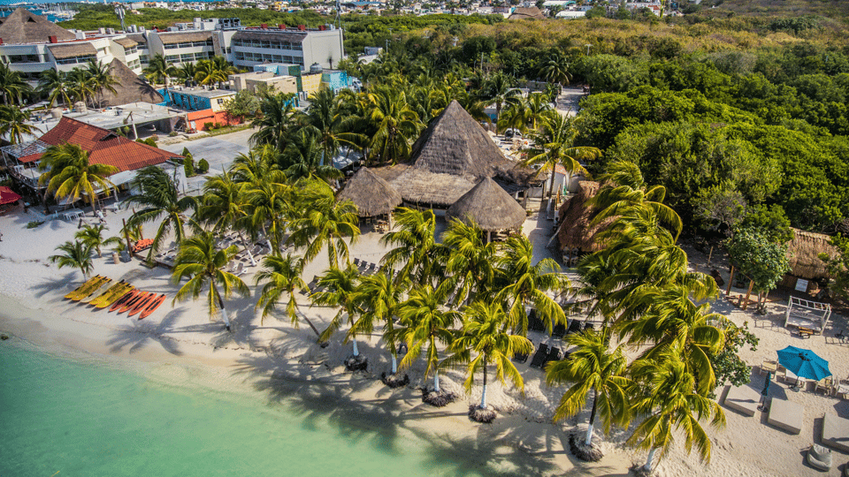 Cancún: Swim with Whale Sharks & Playa Norte Beach - A realistic 6-hour plan from Cancún (and how the rhythm helps)