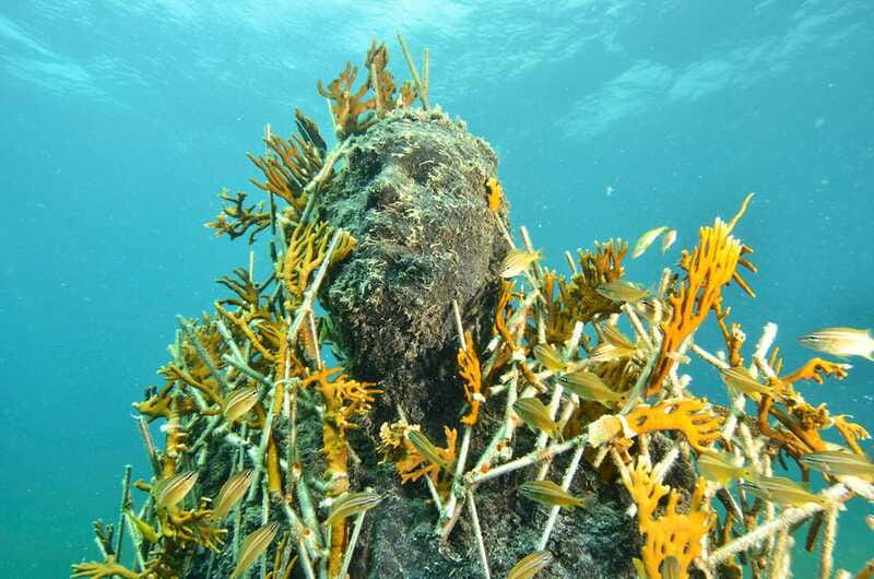 Cancún: Underwater Museum & Reef for Certified Scuba Divers - Key things to know before you book