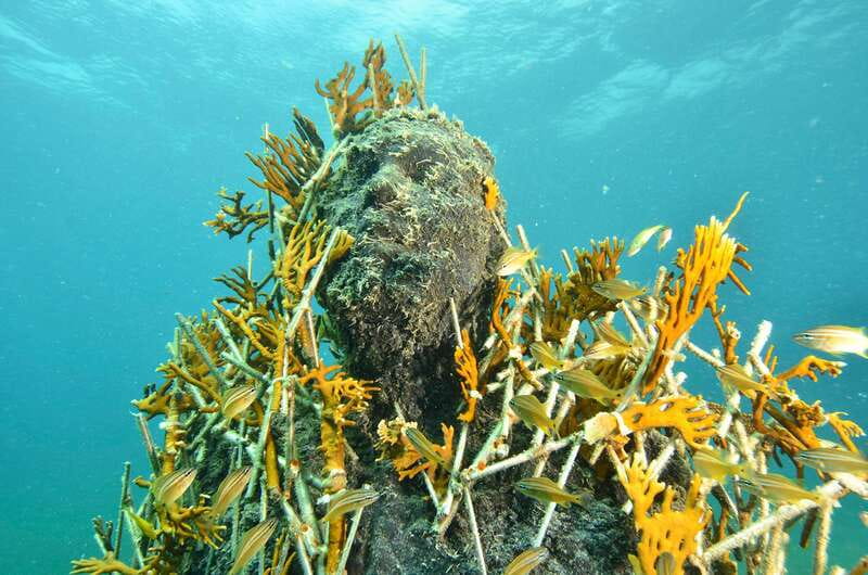 Cancún: Underwater Museum & Reef for Certified Scuba Divers - MUSA and Manchones Reef: what you’re actually paying for