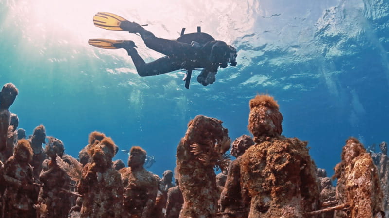 Cancún: Underwater Museum & Reef for Certified Scuba Divers - Tank 2 on the natural coral reef: turtles, fish, and that stingray moment