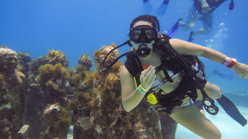 Cancún: Underwater Museum & Reef for Certified Scuba Divers - Instructor-led setup: what the instructor adds (and what you still control)
