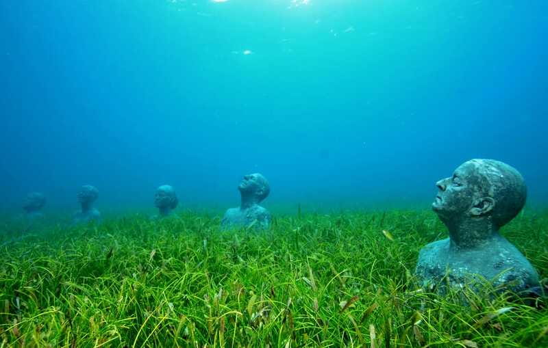 Cancún: Underwater Museum & Reef for Certified Scuba Divers - Price and value: what $98 covers, plus the real extras