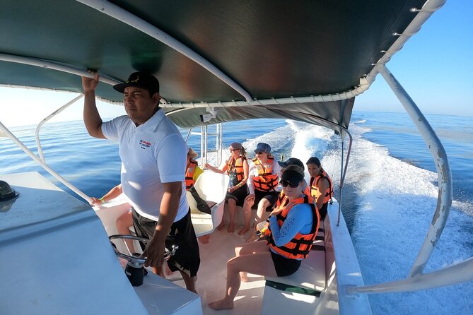 Cancun Whale Shark Experience with Snorkel & Transportation - Getting to Isla Contoy: Pickup, Speed, and Early Fuel