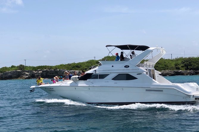 Cancun yachts rental YACHT 46 FT, 15 PAX MAX 25P12 - Swimming and Snorkeling: What to Expect on the 4-Hour Option