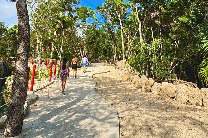 Casa Tortugas cenotes, Tulum Mayan site and Madre Naturaleza tour - Playa del Carmen’s 5th Avenue: one hour to snack, browse, and reset